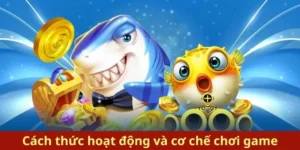 Bí Kíp Chinh Phục Đỉnh Cao Cách Chơi Bắn Cá Royal Fishing Tại VT999