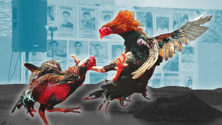 Cách Chơi Đá Gà Sabong Tại VT999 Săn Thưởng Siêu Khủng