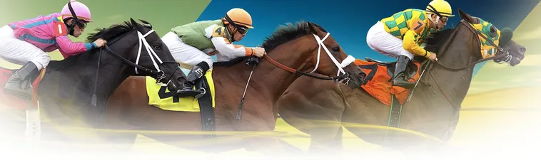 Tăng Tốc Chiến Thắng Cùng Tìm Hiểu Cá Cược Đua Ngựa VT999 Hấp Dẫn