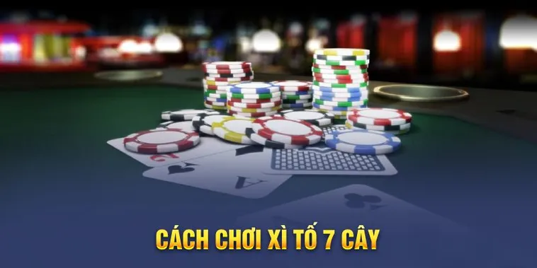 Chinh Phục Đỉnh Cao Trí Tuệ Với Game Xì Tố Tại VT999